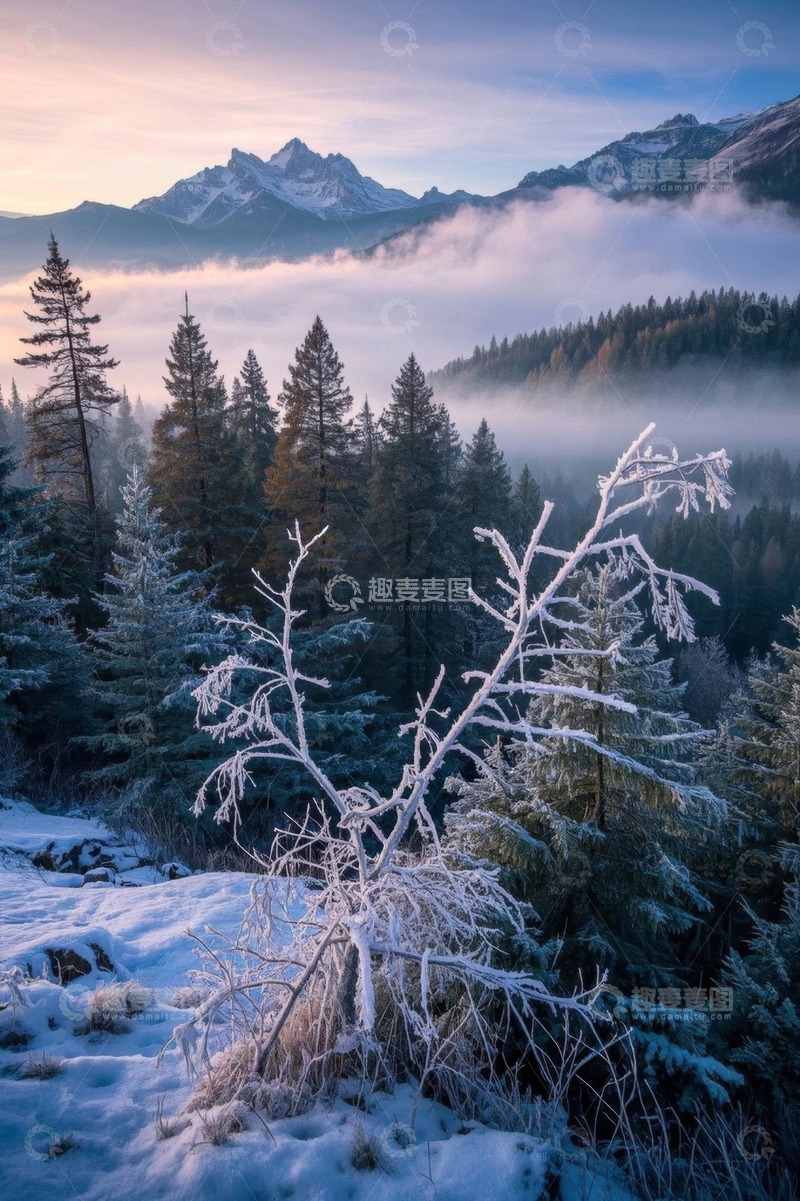 高清大图下载【趣麦麦图】雪山森林雪景自然风光