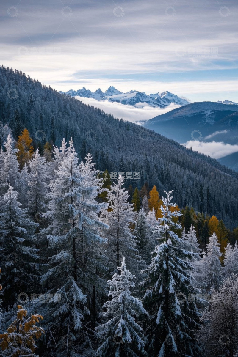 高清大图下载【趣麦麦图】雪覆山林与远处雪山风景