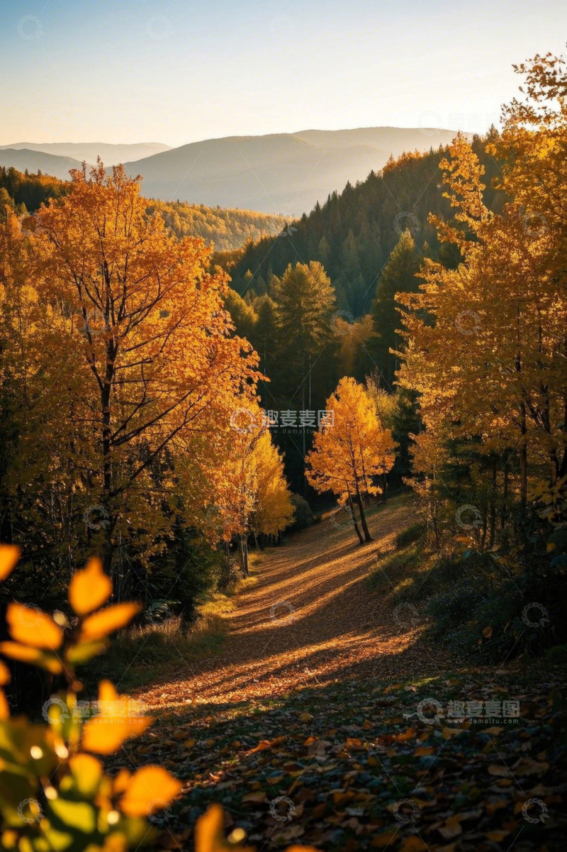 高清大图下载【趣麦麦图】秋日山林间的落叶小道景观