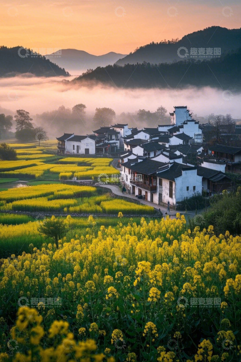 高清大图下载【趣麦麦图】婺源村落油菜花田园风光
