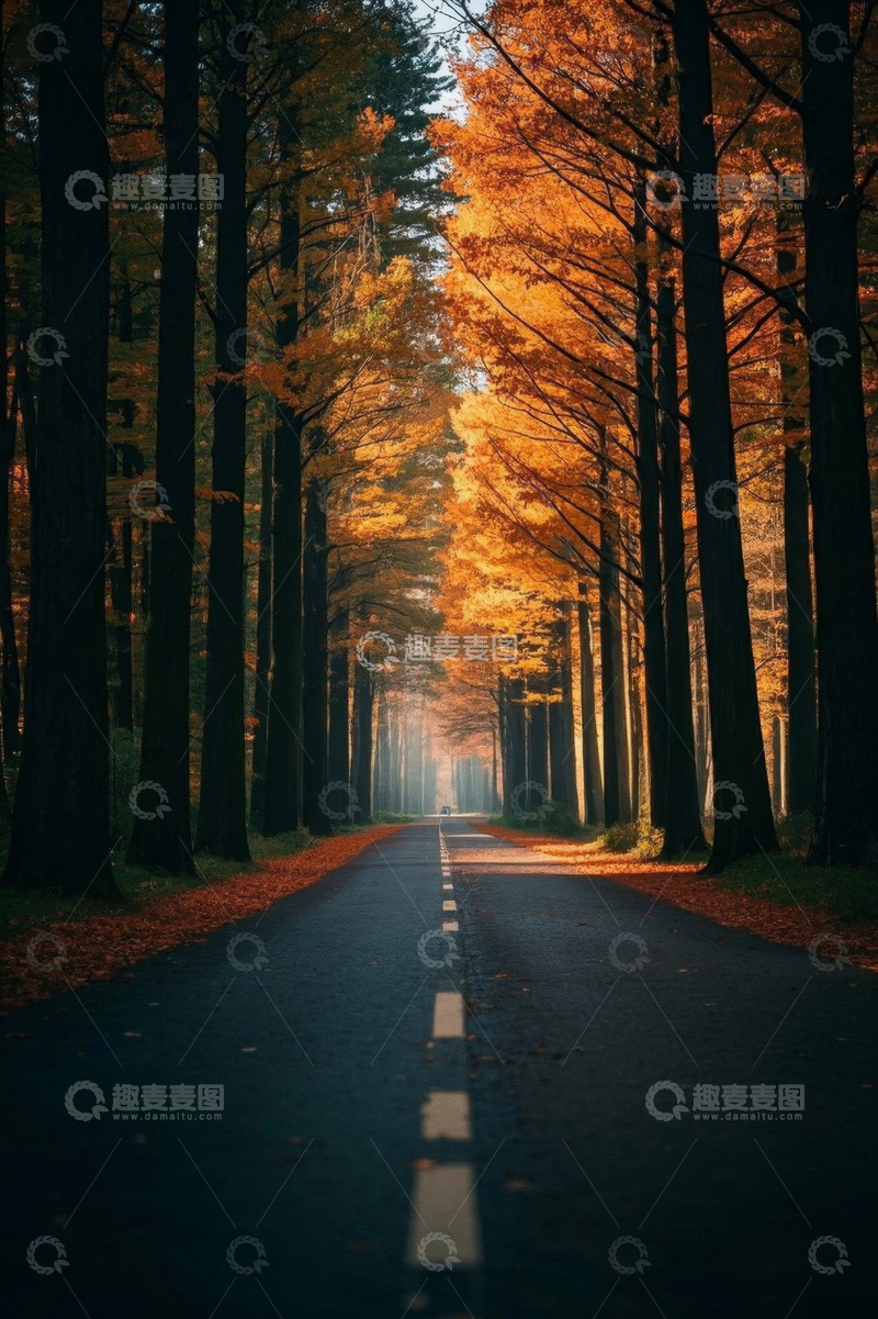 高清大图下载【趣麦麦图】秋日林间公路风景