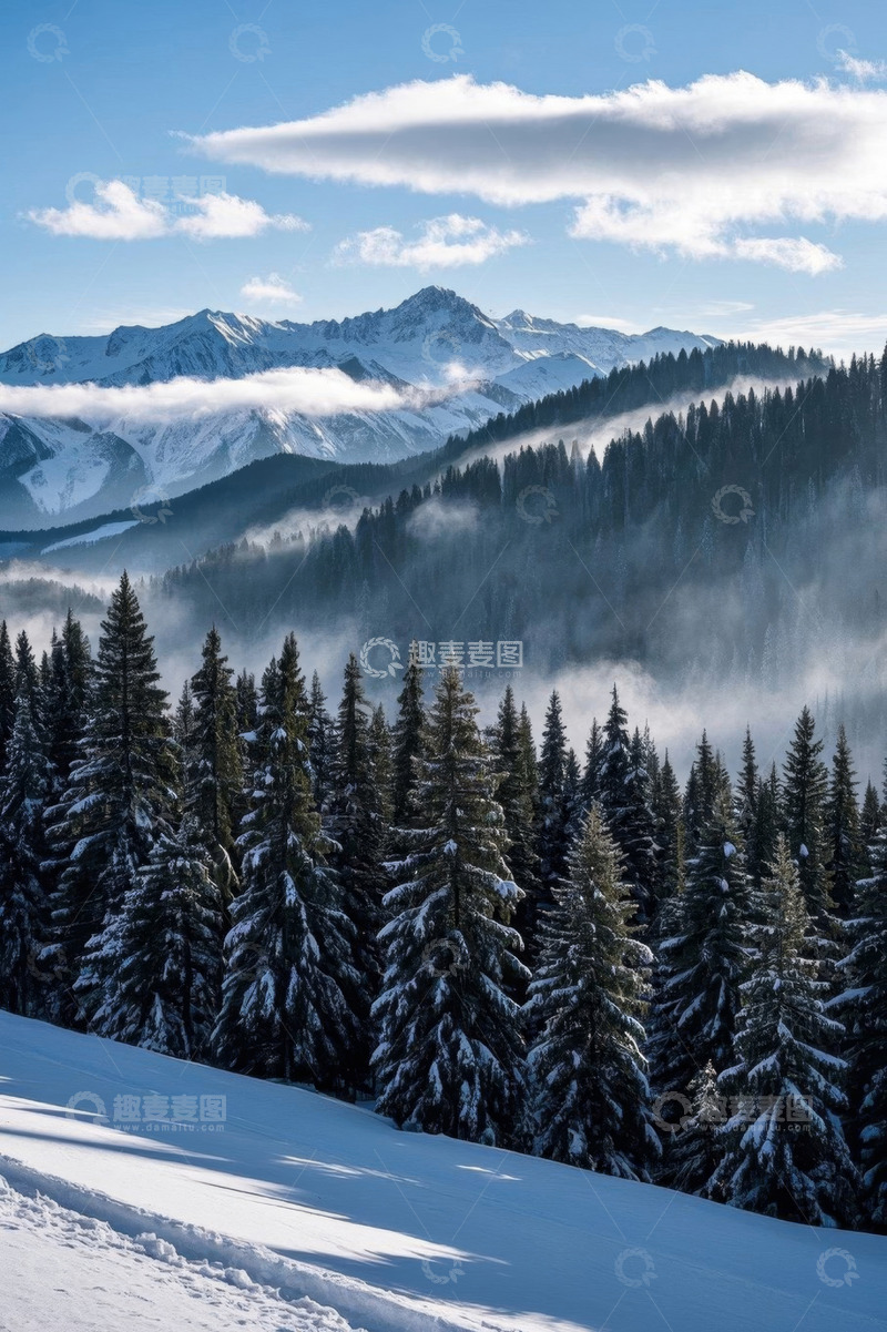 高清大图下载【趣麦麦图】雪山森林自然风光全景