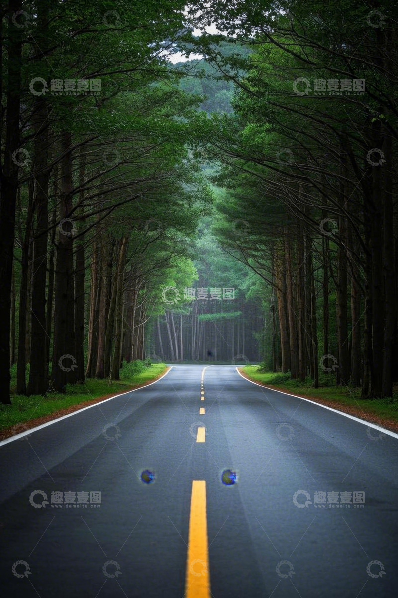 高清大图下载【趣麦麦图】林间道路自然风光