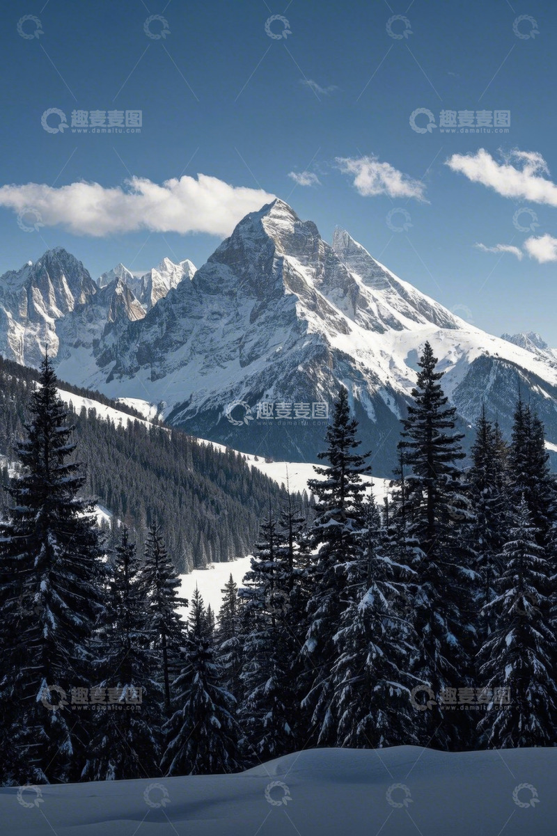 高清大图下载【趣麦麦图】雪山下的森林雪景风光