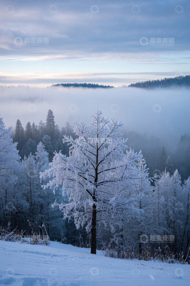 高清大图下载【趣麦麦图】雪覆森林雾霭弥漫景象