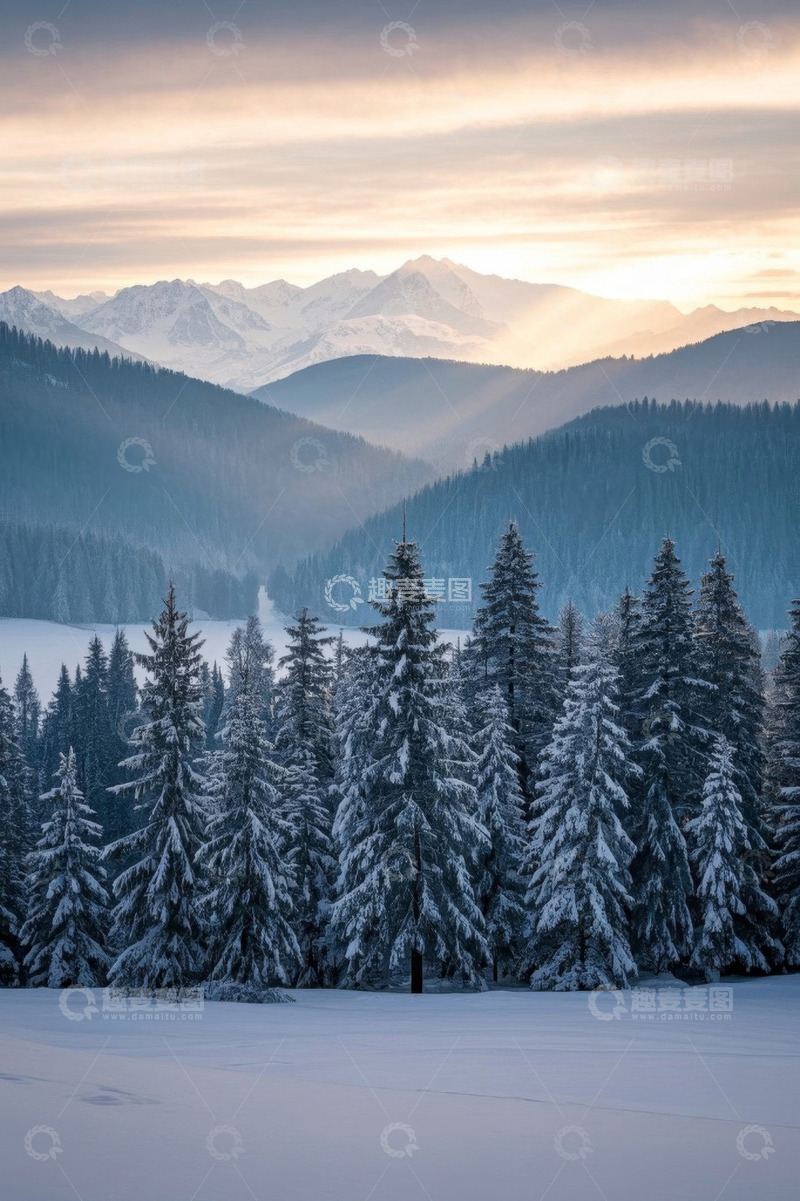 高清大图下载【趣麦麦图】雪山下的森林雪景