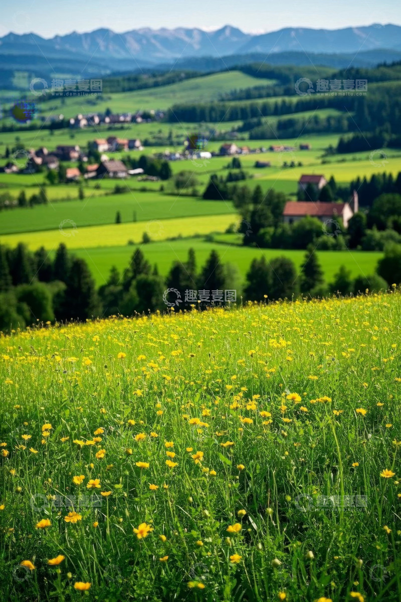 高清大图下载【趣麦麦图】田园花海与远处山峦村庄景观
