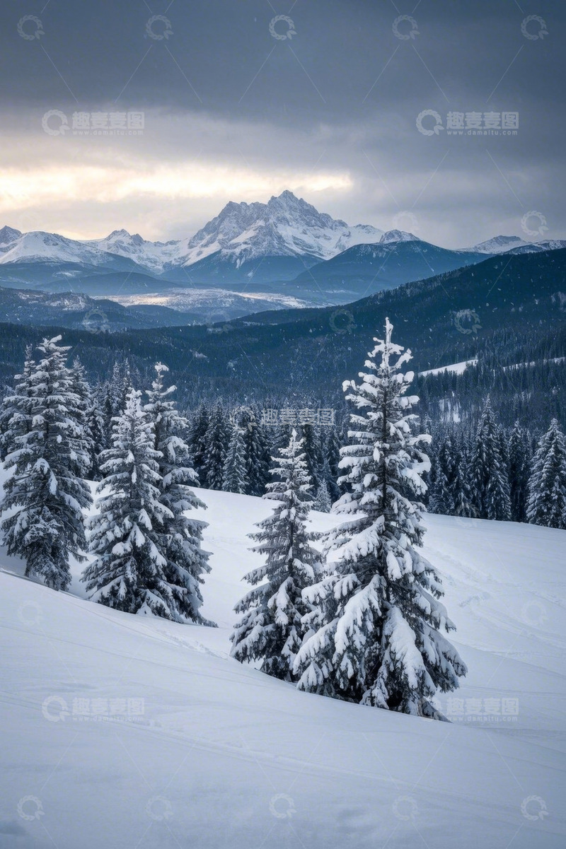 高清大图下载【趣麦麦图】雪山下覆盖积雪的森林景象