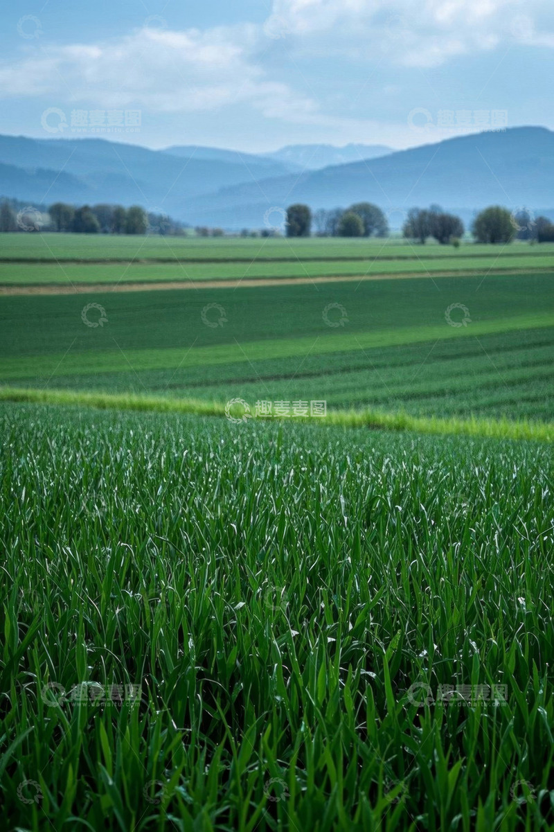高清大图下载【趣麦麦图】绿色农田自然风光