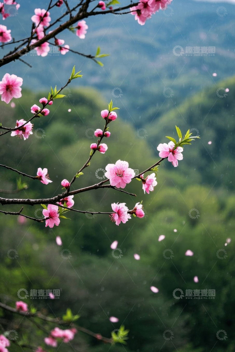 高清大图下载【趣麦麦图】盛开的粉色桃花与山峦背景