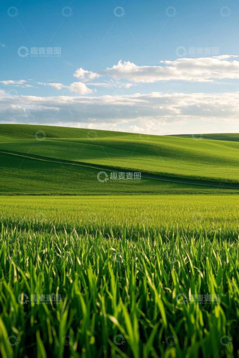 高清大图下载【趣麦麦图】广阔绿色田野风光