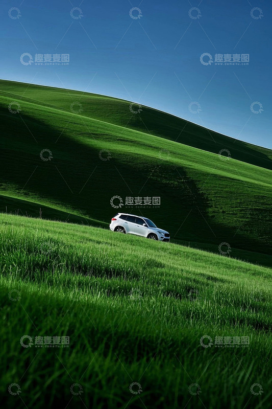 草原上的白色SUV