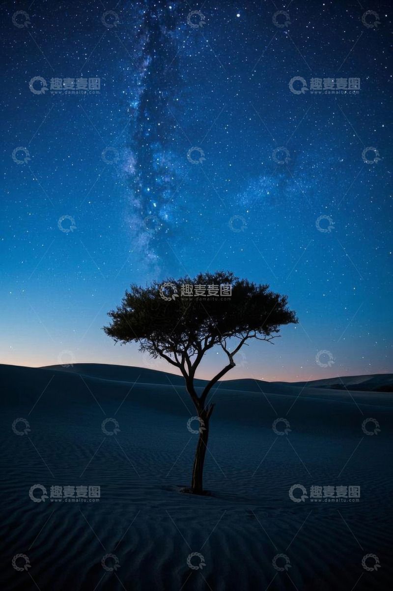 高清大图下载【趣麦麦图】沙漠中孤树与星空景象