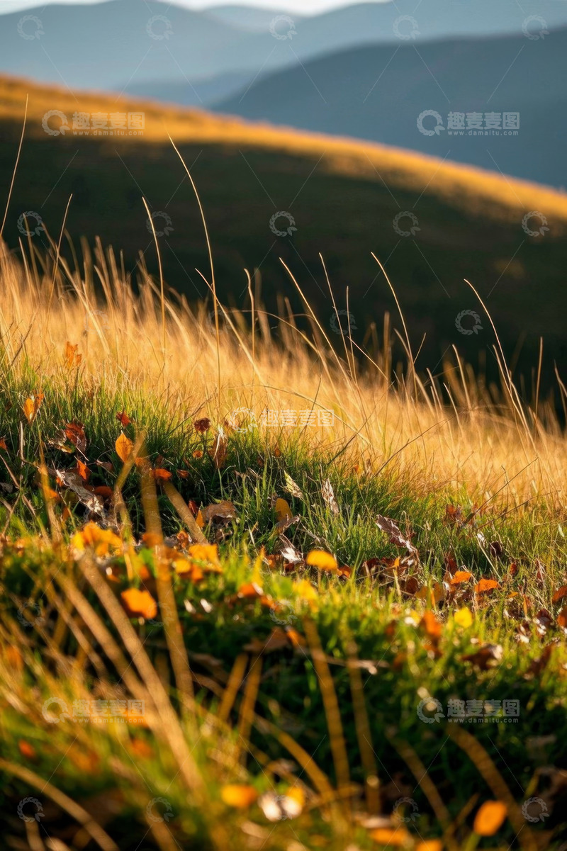 高清大图下载【趣麦麦图】山间草地自然风光