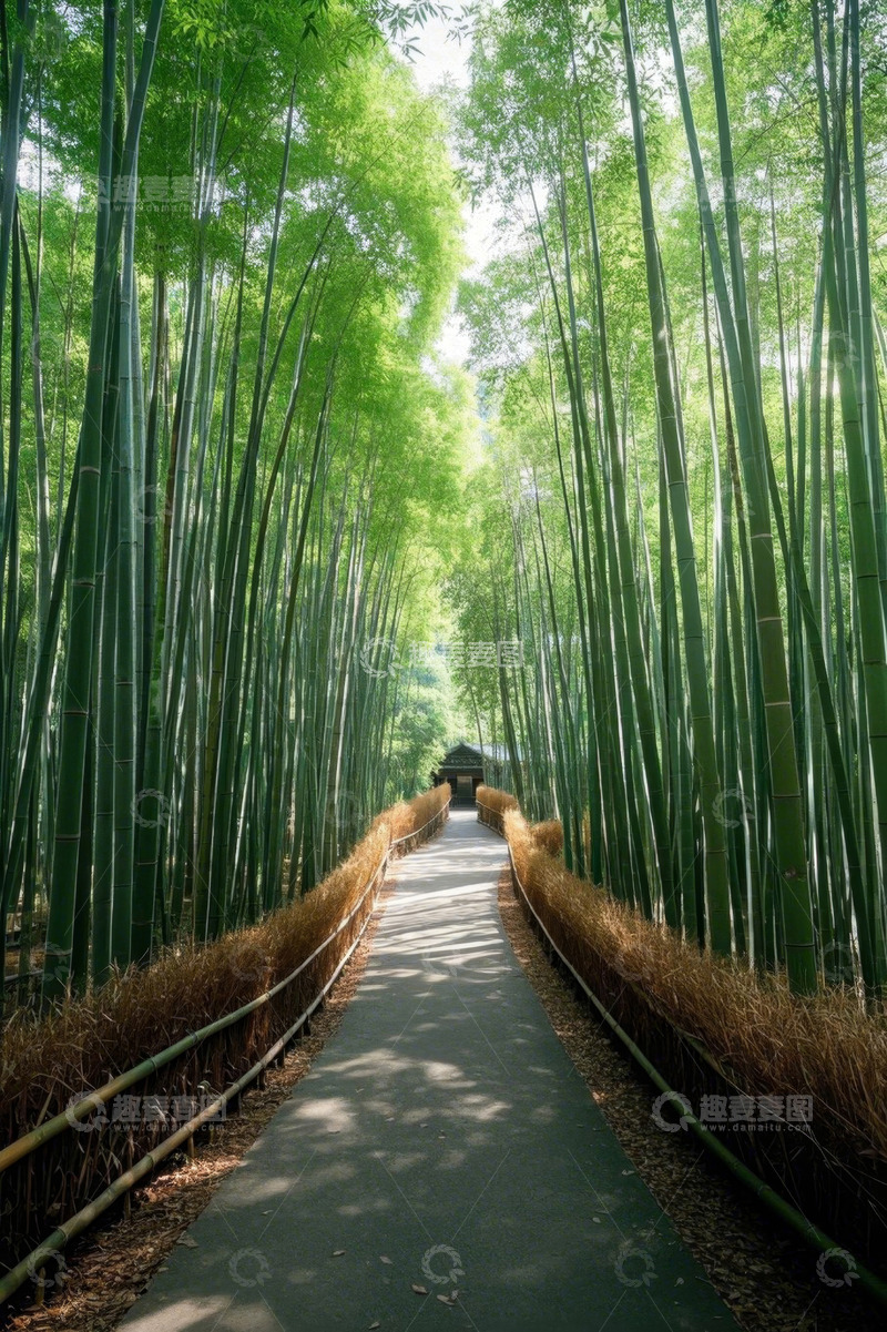 高清大图下载【趣麦麦图】竹林中的步道与小屋景观