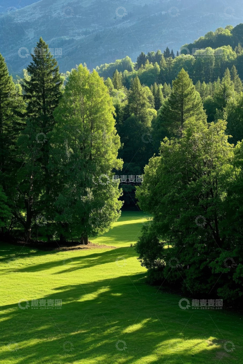 高清大图下载【趣麦麦图】阳光照耀下的森林与草地景观