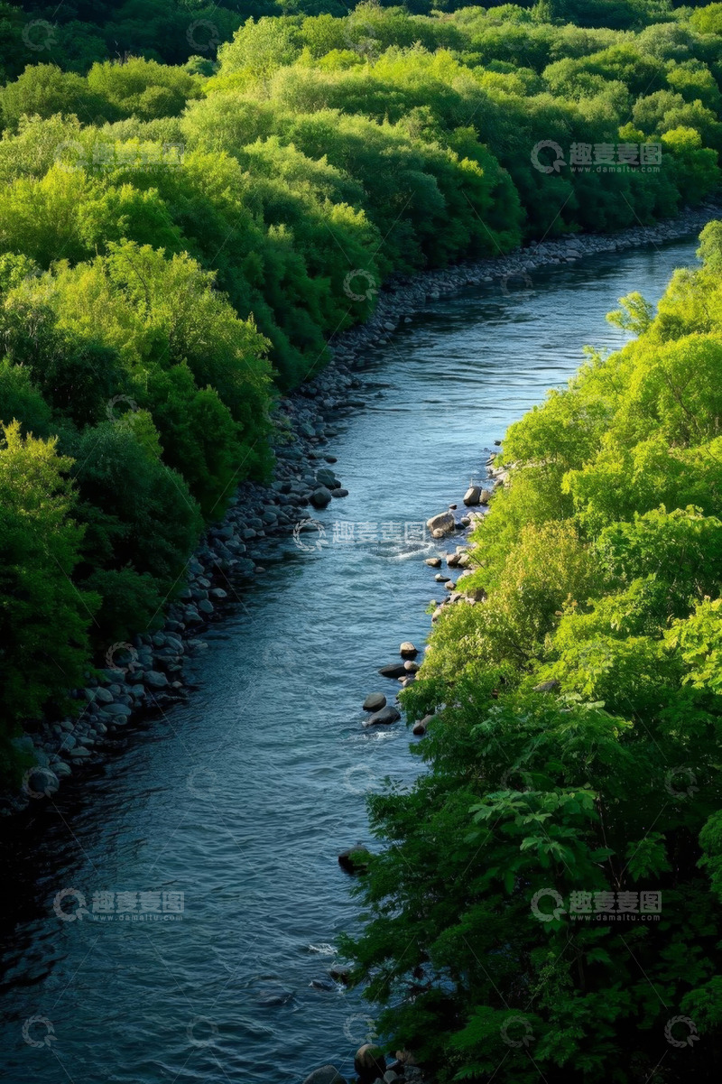 高清大图下载【趣麦麦图】河流旁郁郁葱葱的森林景观