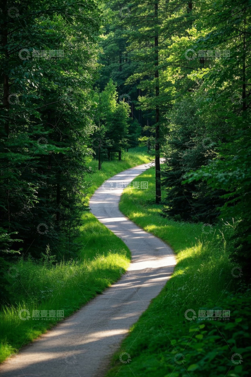 高清大图下载【趣麦麦图】森林中蜿蜒的绿色小路