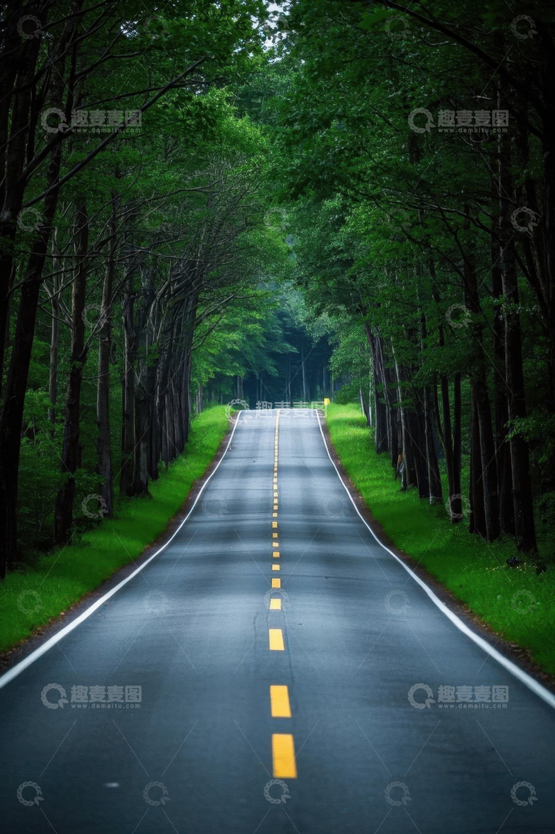高清大图下载【趣麦麦图】森林中延伸的道路景观
