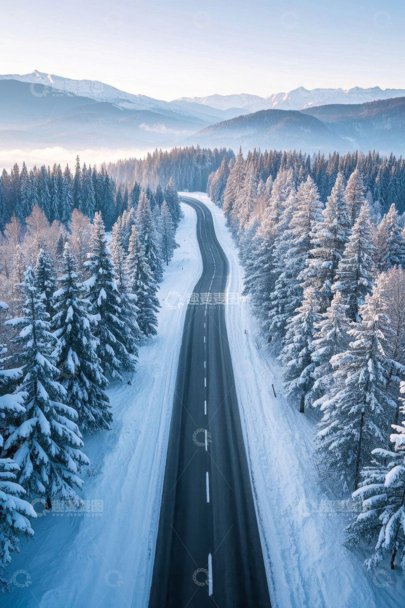 高清大图下载【趣麦麦图】冬日雪覆森林中的公路