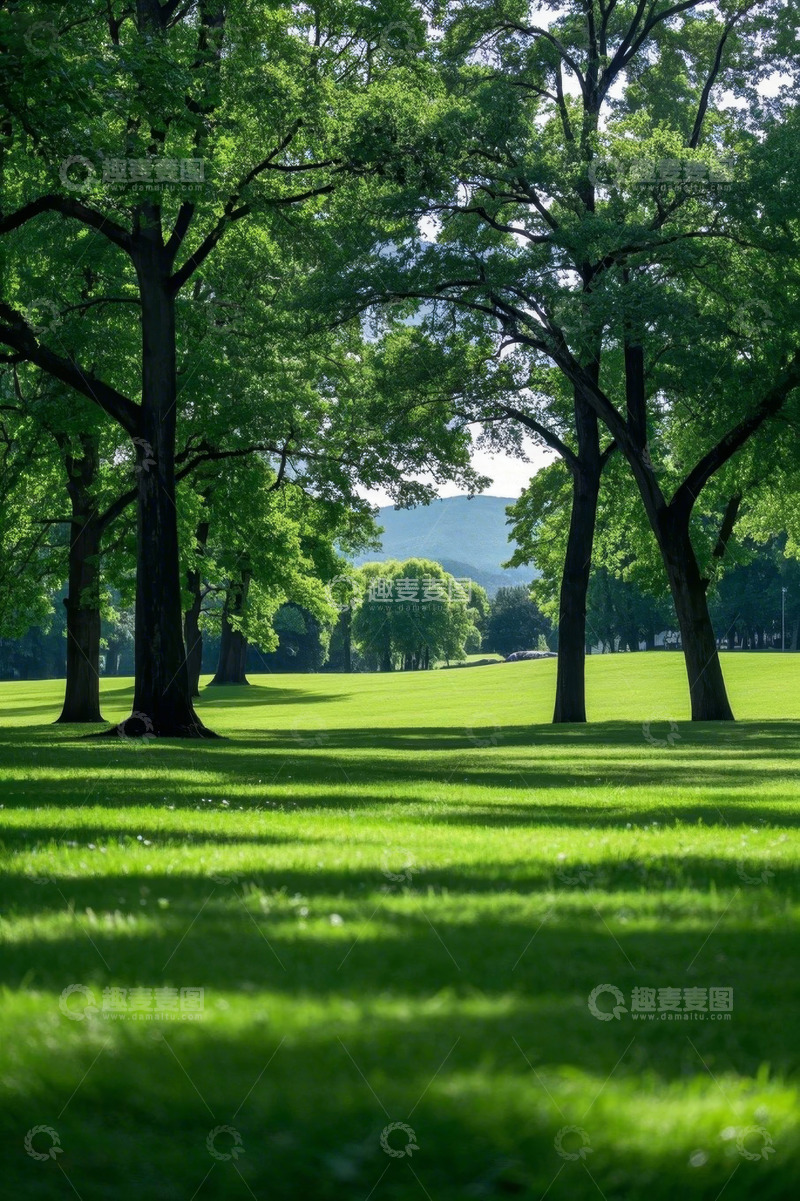 高清大图下载【趣麦麦图】户外绿色公园草地树木景观