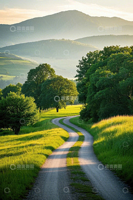 山间蜿蜒的绿色道路风景
