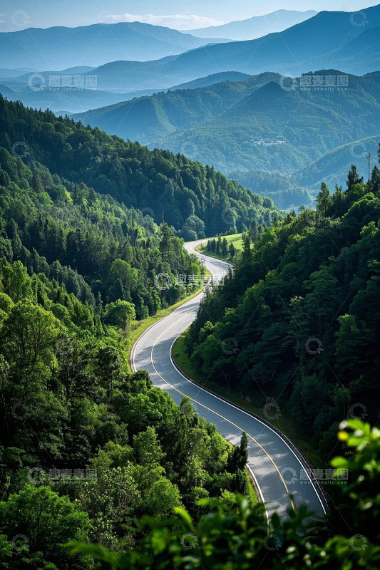 山间蜿蜒公路与茂密森林景象