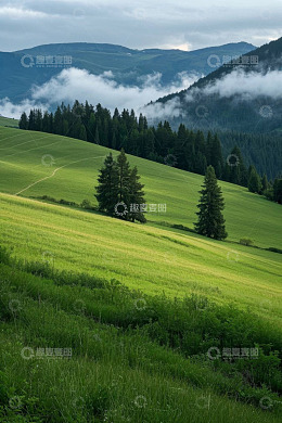山间草地森林自然风光