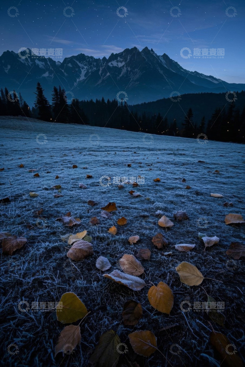 高清大图下载【趣麦麦图】山地夜景下的落叶草地