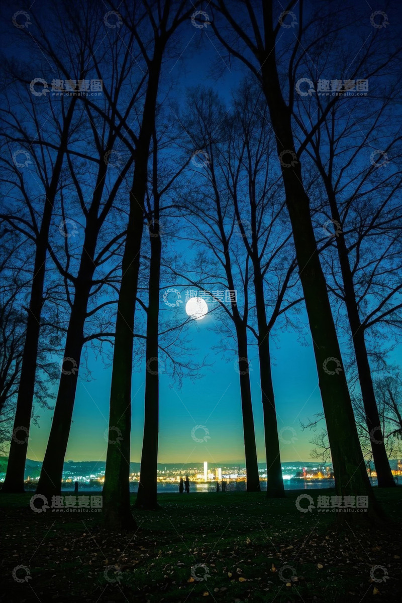 高清大图下载【趣麦麦图】月夜下树林与城市远景