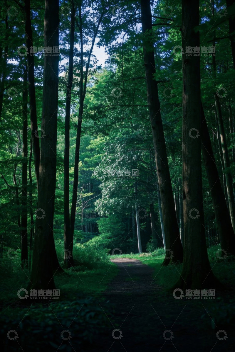高清大图下载【趣麦麦图】森林中的绿荫小径