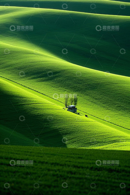 绿色起伏草地中的小屋