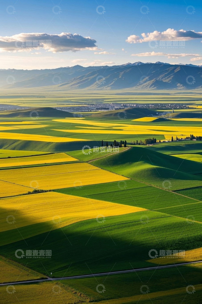 高清大图下载【趣麦麦图】田野油菜花与远山风光