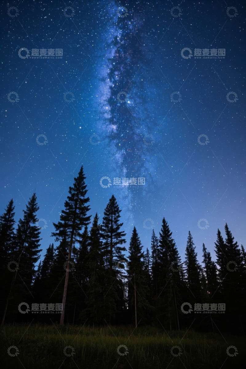 高清大图下载【趣麦麦图】森林夜空下的璀璨银河系