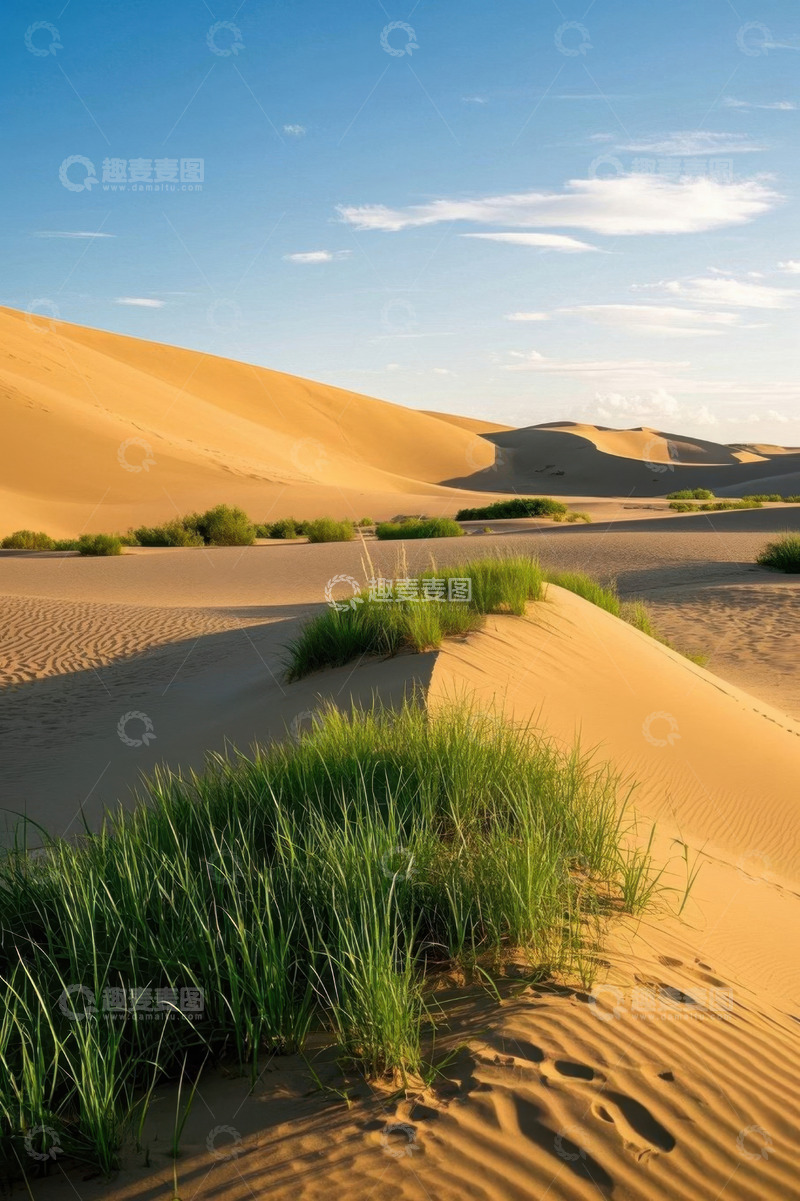 高清大图下载【趣麦麦图】沙漠中的绿色植被景观