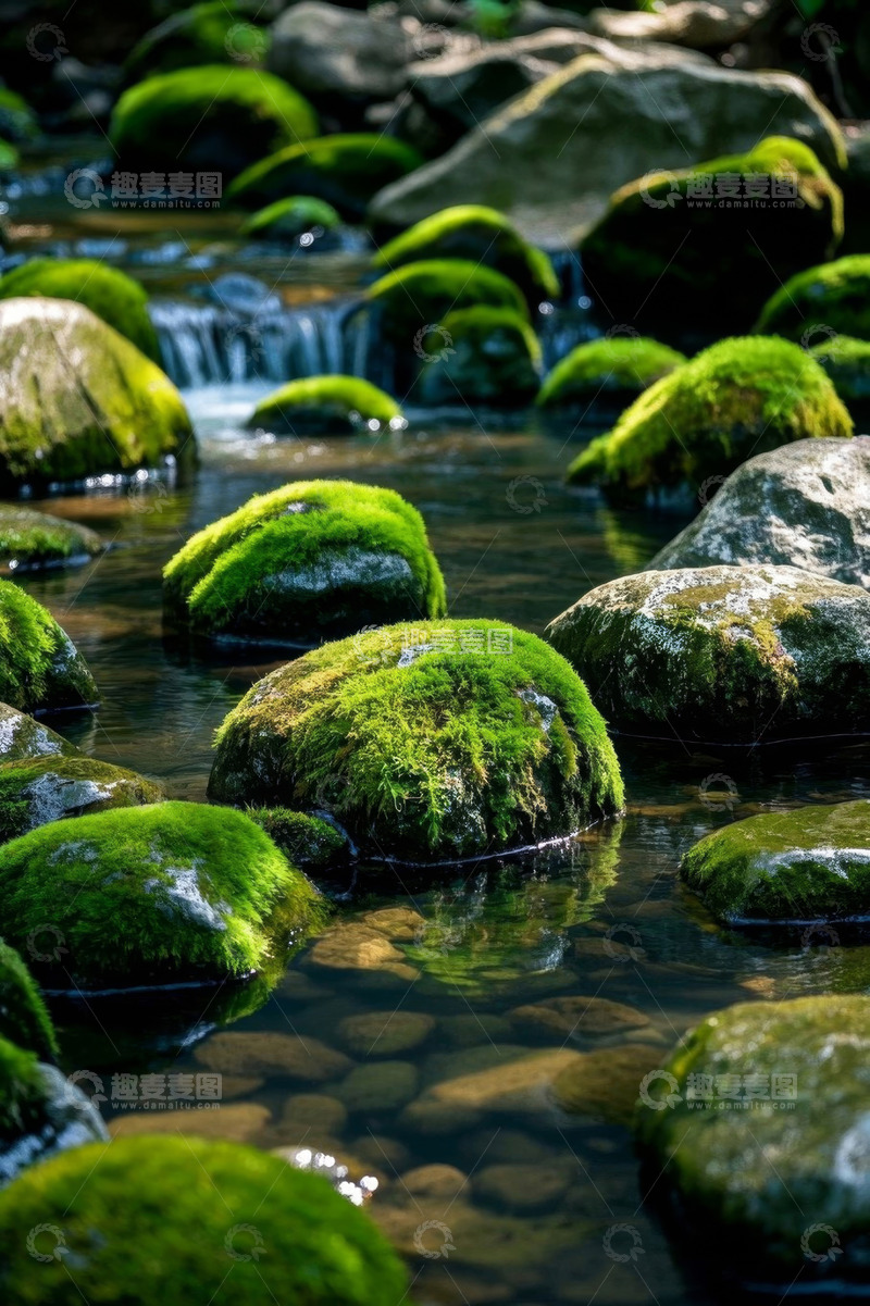高清大图下载【趣麦麦图】溪流中长满青苔的岩石景观