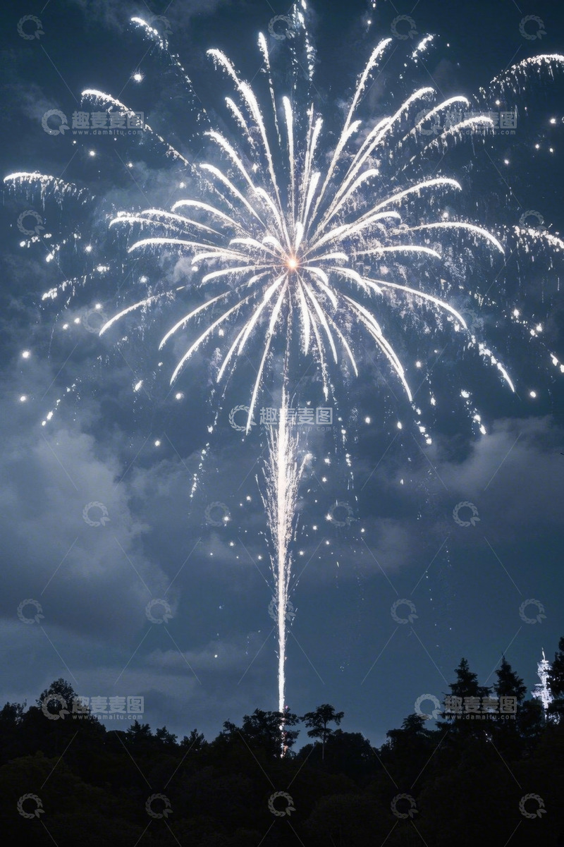 高清大图下载【趣麦麦图】夜空中绽放的烟花