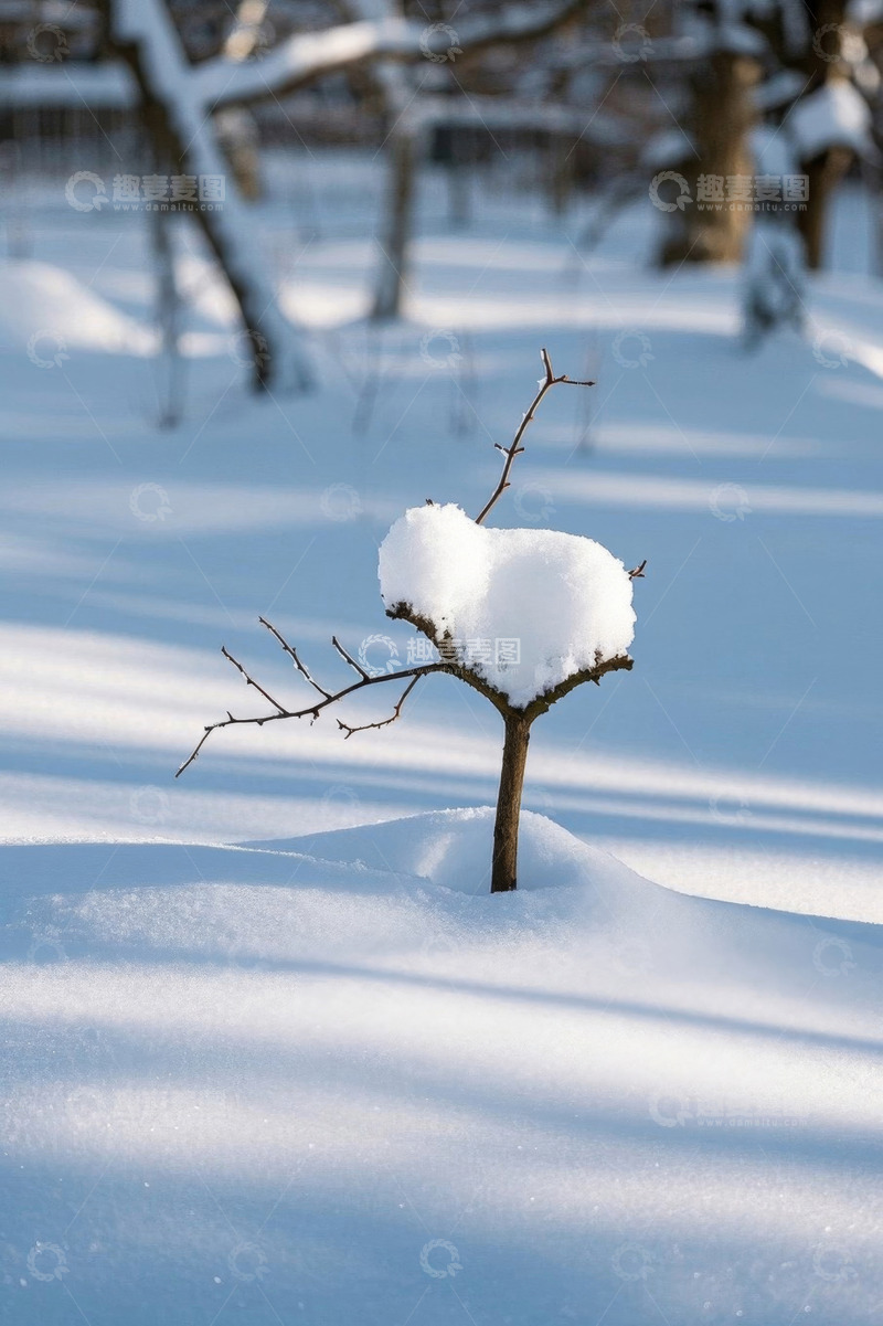 高清大图下载【趣麦麦图】雪地中积雪覆盖的小树