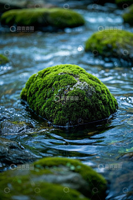 溪流中长满青苔的岩石