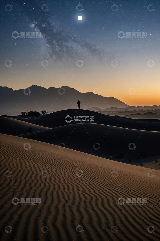 沙漠中人物月下伫立景观