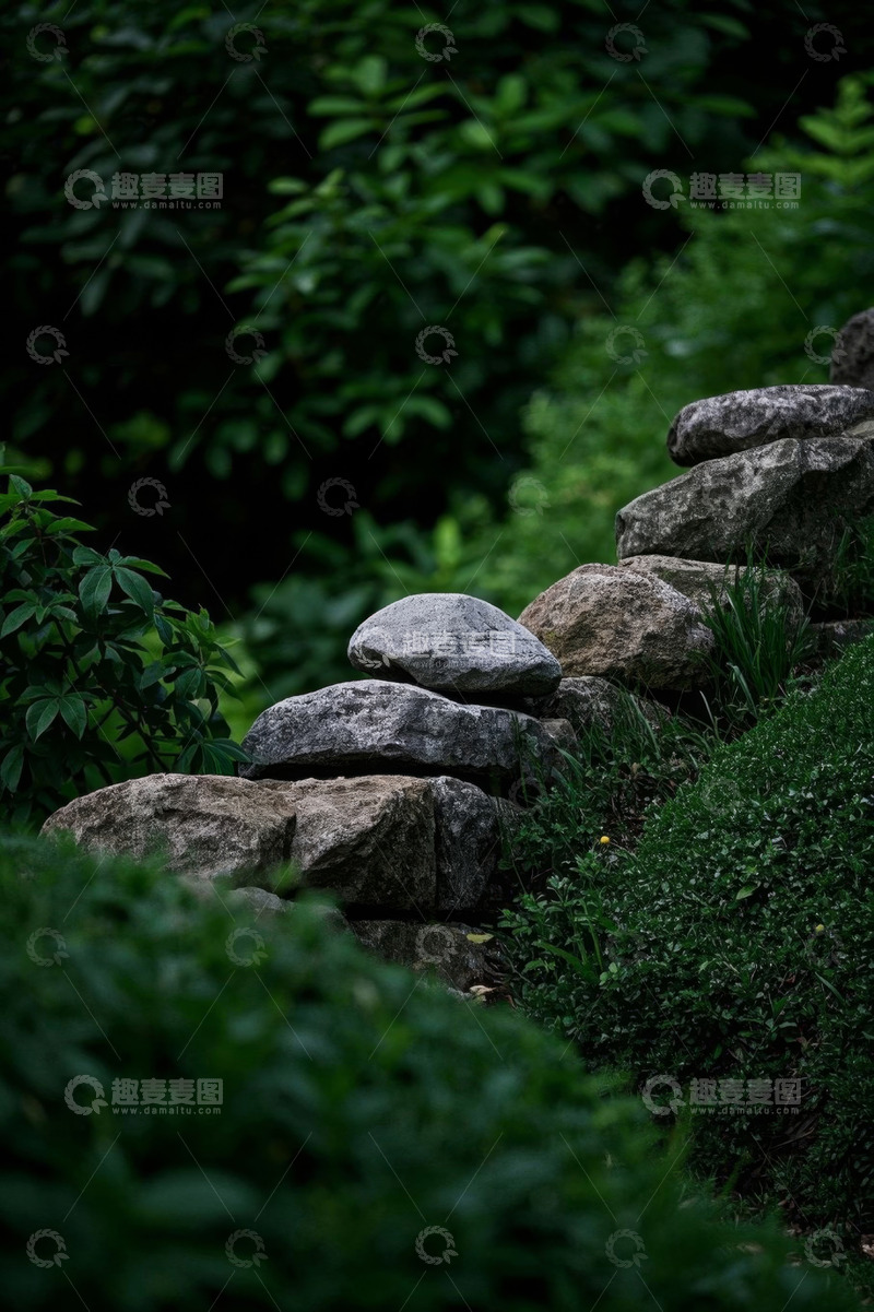 高清大图下载【趣麦麦图】户外石堆与绿植自然景观