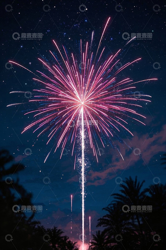 夜空中绽放的绚丽烟花