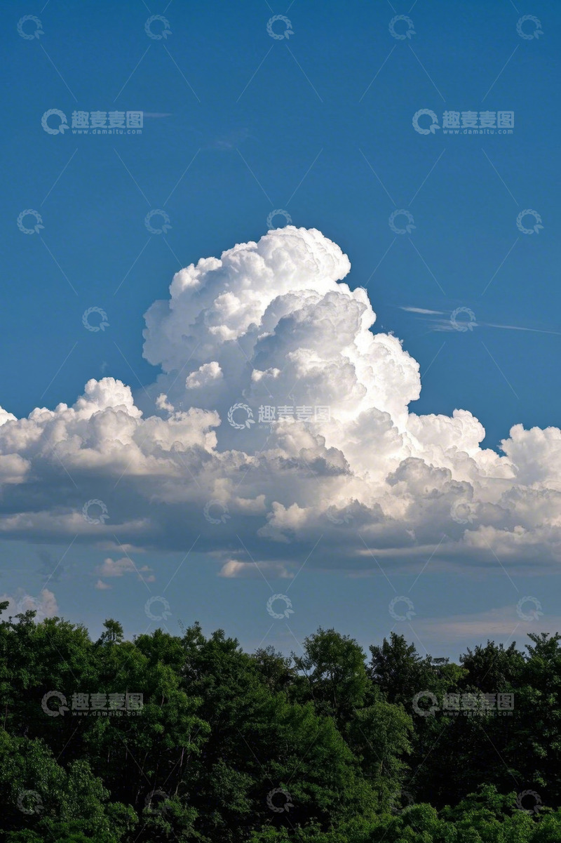 高清大图下载【趣麦麦图】蓝天白云下的茂密树林景观