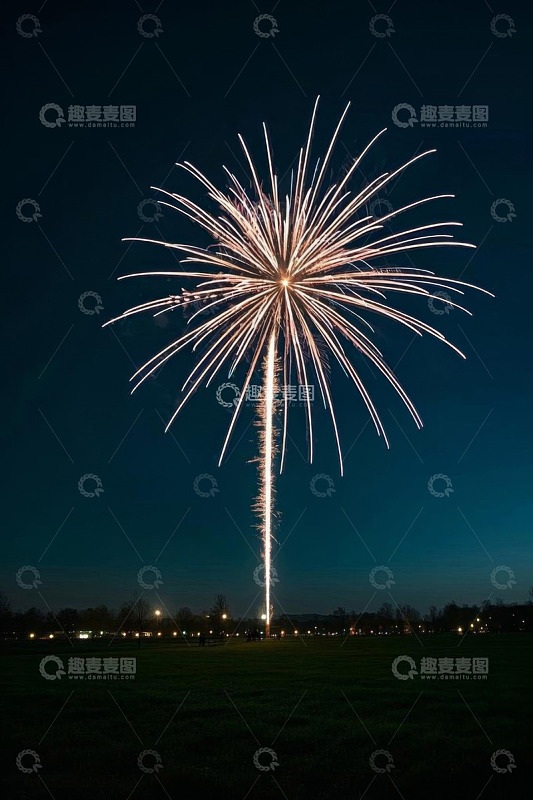 夜空中绽放的绚烂烟花
