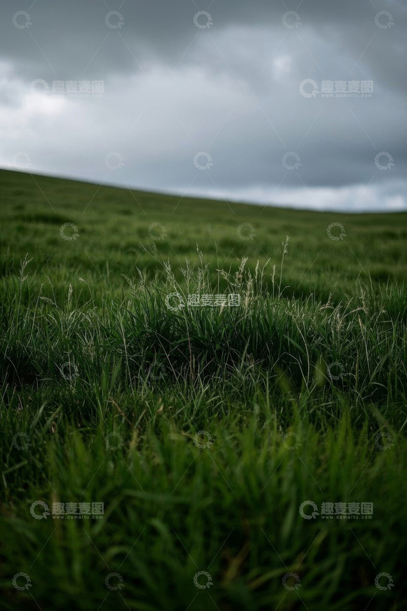 高清大图下载【趣麦麦图】草原上的绿色草地与阴沉天空