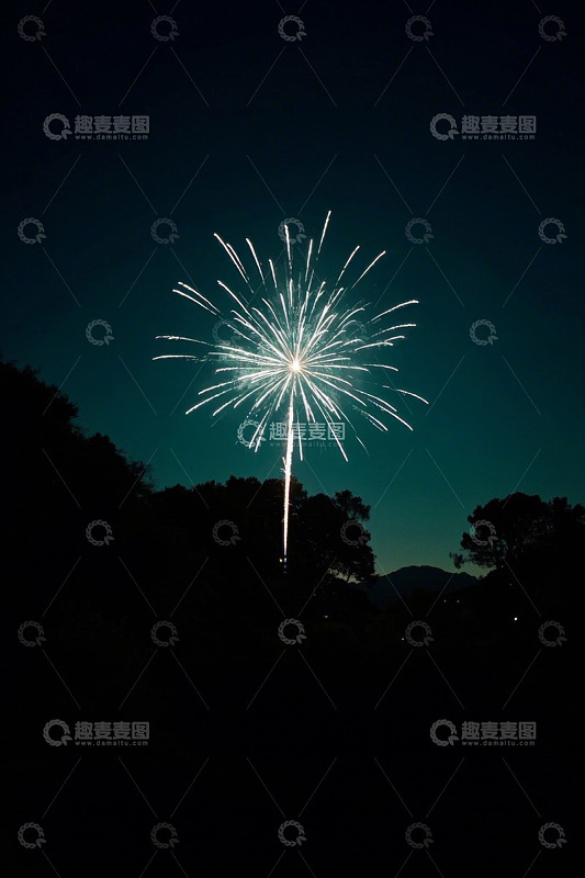 夜空绽放的烟花