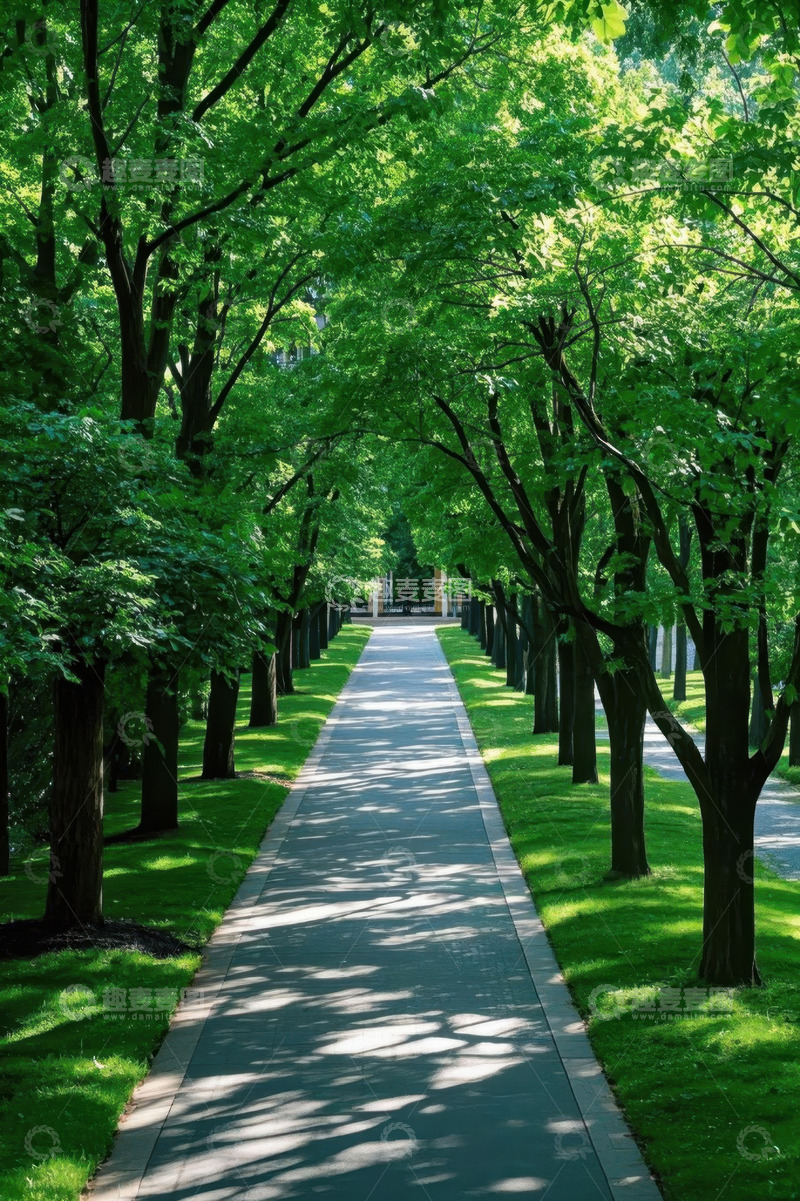 高清大图下载【趣麦麦图】绿树成荫的户外林荫小道