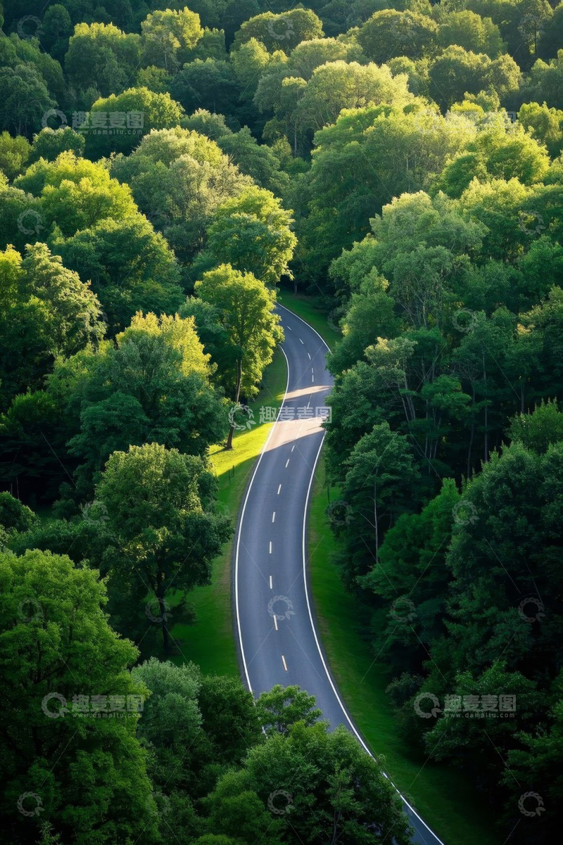高清大图下载【趣麦麦图】森林中的蜿蜒道路