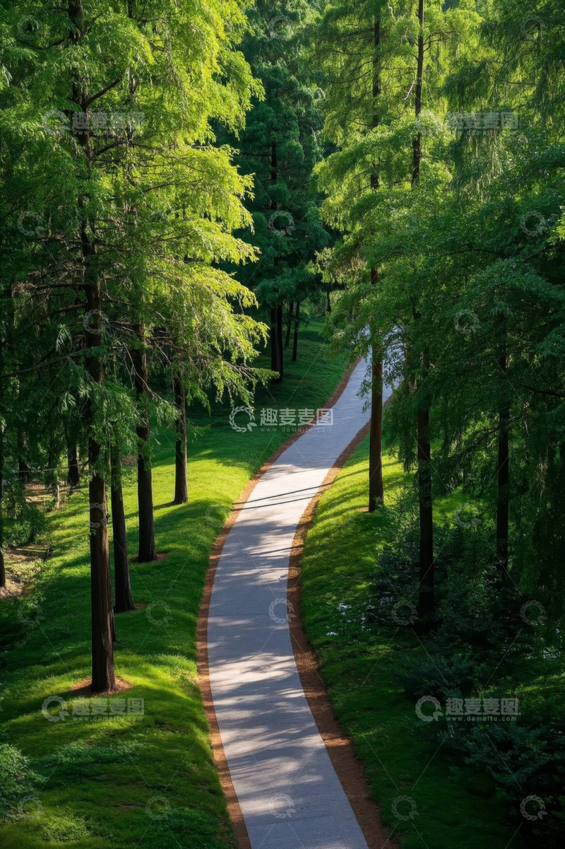 高清大图下载【趣麦麦图】林间蜿蜒小路自然风光