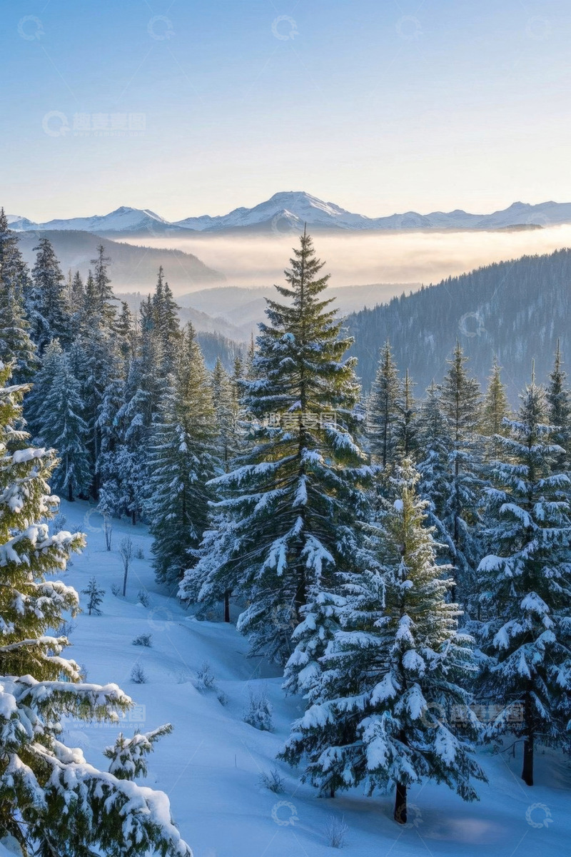 高清大图下载【趣麦麦图】雪覆山林与远山的自然景观